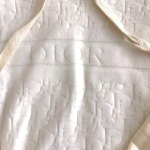 Dior Hoodie NWT